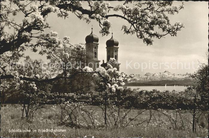 Friedrichshafen Bodensee Schlosskirche Baumbluete Alpenblick