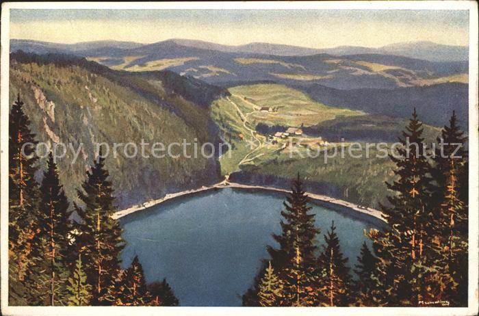 Feldberg Schwarzwald Panorama Feldsee