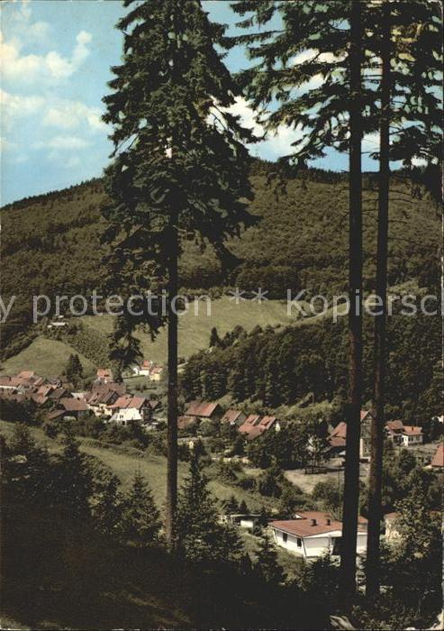 Sieber Herzberg am Harz Osterode Niedersachsen Luftkurort im Siebertal mit Berg