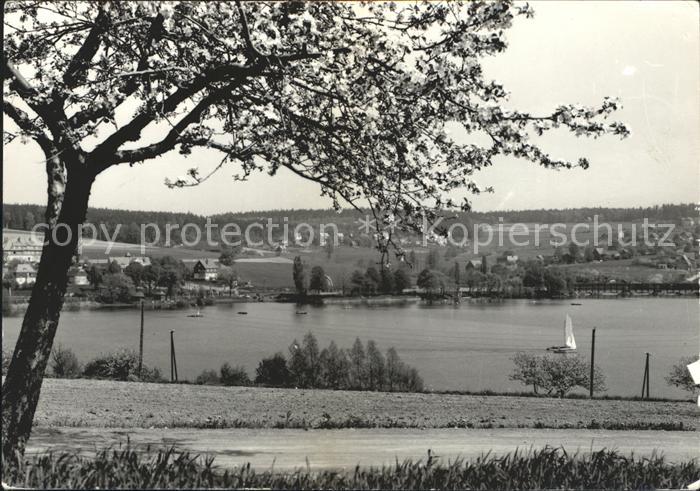 Dippoldiswalde Osterzgebirge Talsperre Malter Baumbluete
