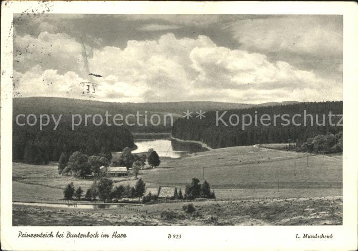 Buntenbock Panorama mit Prinzenteich