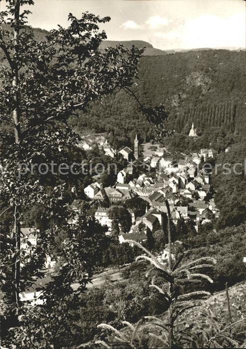 Bad Bertrich Ansicht vom Waldrand aus