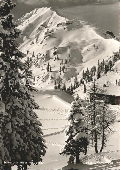 Koenigsee Berchtesgaden Schneibsteinhaus mit Jenner Winterpanorama Berchtesgaden