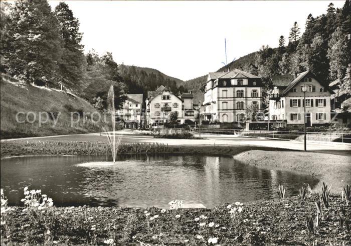 Bad Rippoldsau Schwarzwald Kurhaus Mineralbad Moorbad Teich