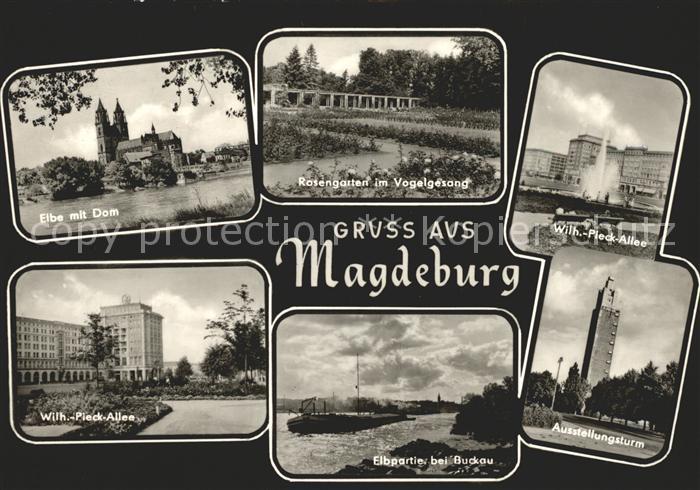 MAGDEBURG CITY Elbe Dom Rosengarten Wilhelm Pieck Allee Ausstellungsturm Buckau