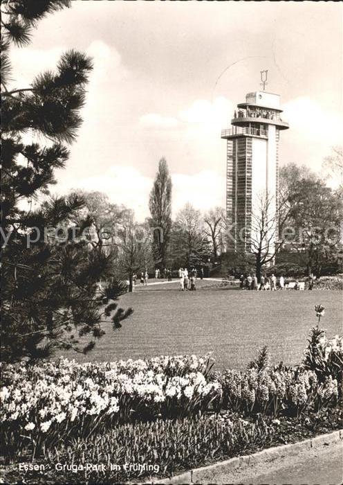 Essen Ruhr Gruga Park im Fruehling