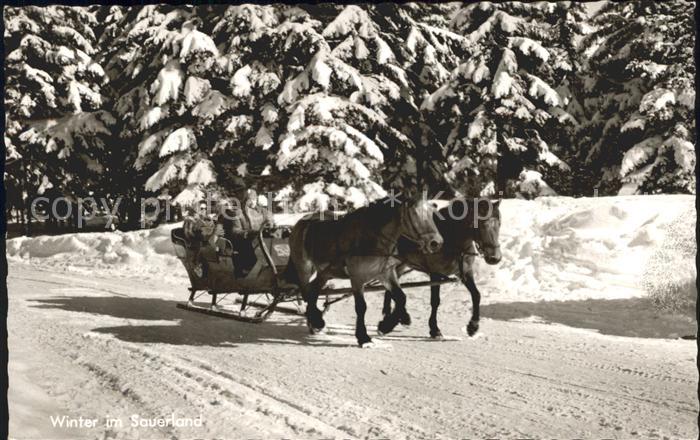 Schlitten Schnee Pferdeschlitten Sauerland