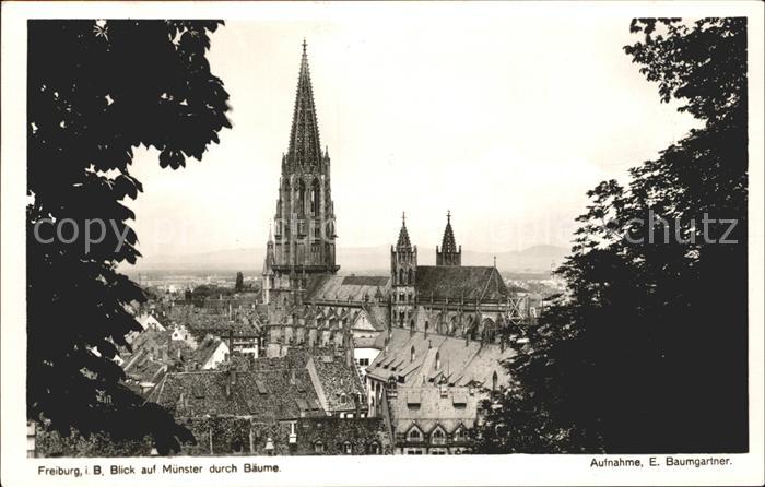 Foto Baumgartner E. Nr. 8225 Freiburg im Breisgau Münster