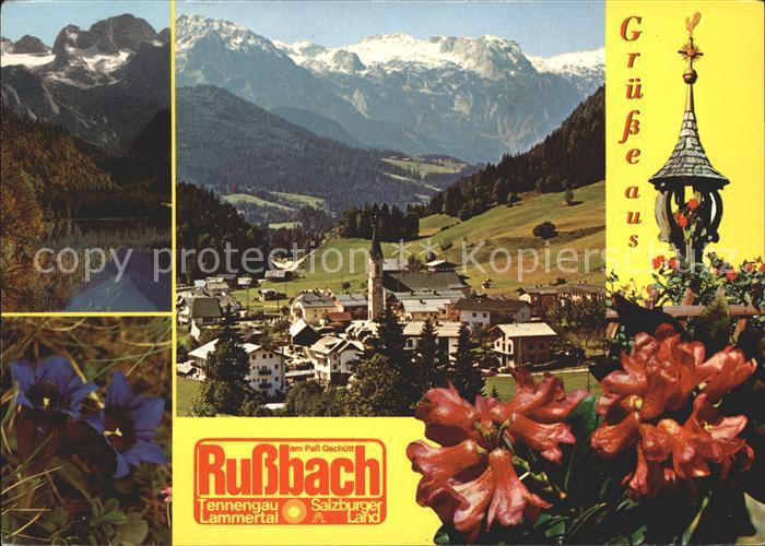 Russbach Pass Gschuett Vorderer Gosaussee Dachstein Tennengebirge Alpenflora