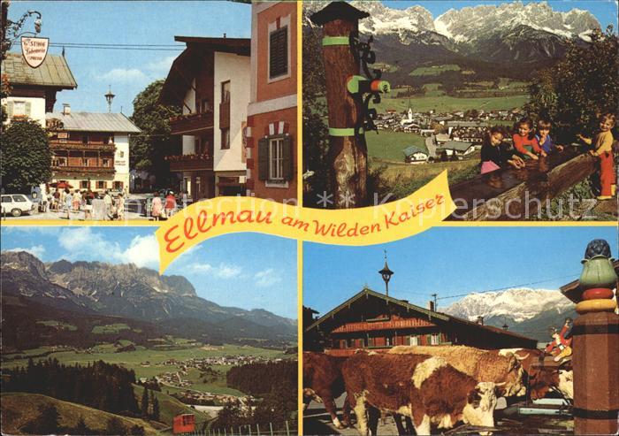 Ellmau Tirol am Wilden Kaiser Panorama Viehtraenke Dorfpartie