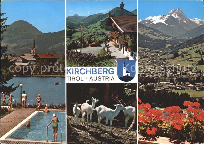 Kirchberg Tirol Schwimmbad Ortsblick Panorama Wildgehege