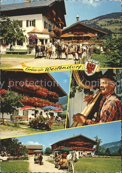 Westendorf Tirol Reitsport Kutschenfahrten Jausenstation Aunerhof Harfenspieler