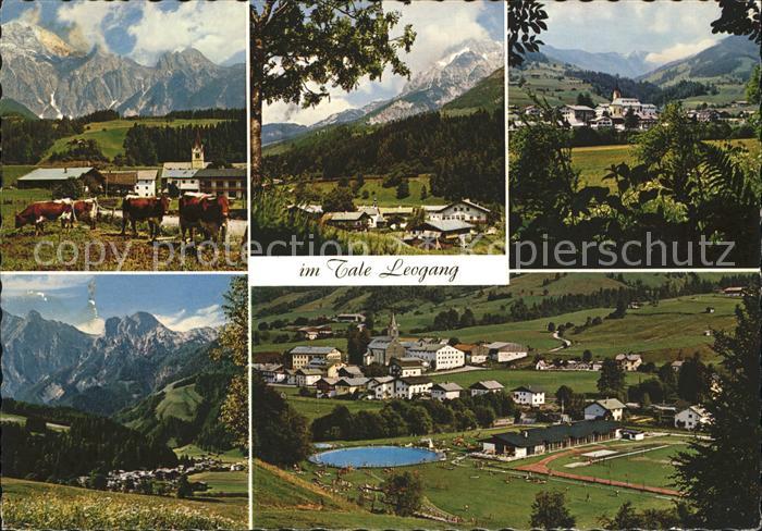 Leogang mit Kitzbueheler Alpen Steinernem Meer und Leoganger Steinberge Ortsansi