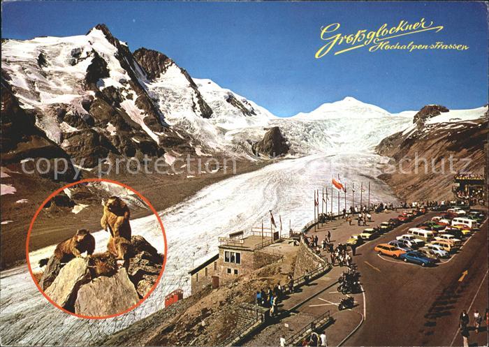 Grossglockner Hochalpenstrasse Parkplatz Freiwandeck mit Pasterzenbahn Affen