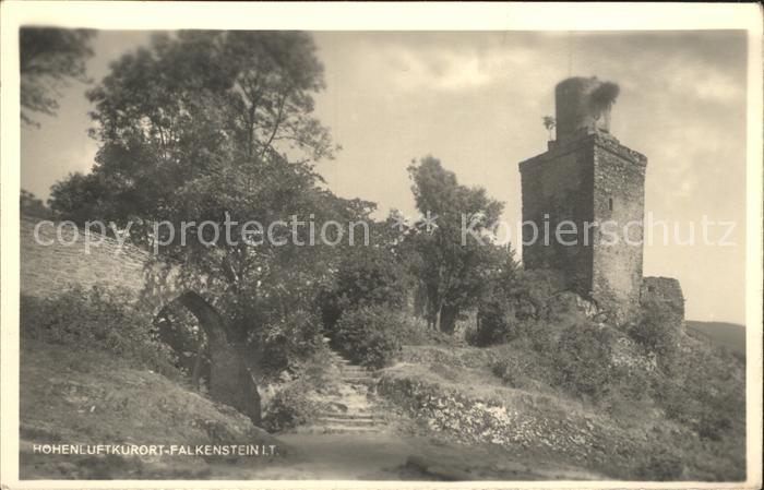 Falkenstein Taunus Burgruine