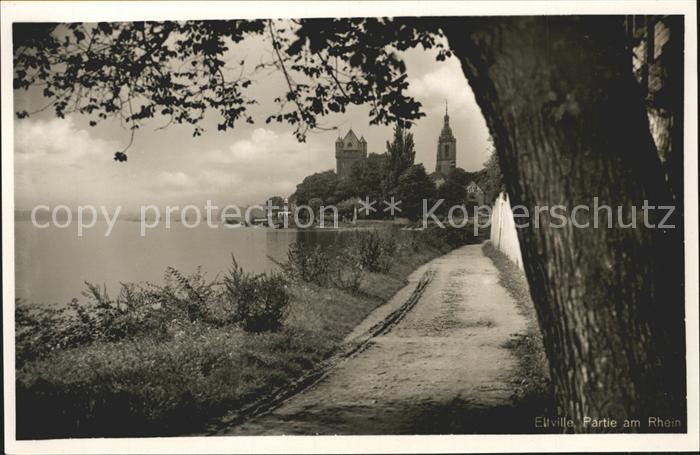 Eltville Rhein Rheinpartie