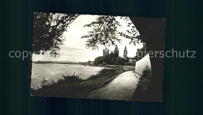 Eltville Rhein Rheinpartie