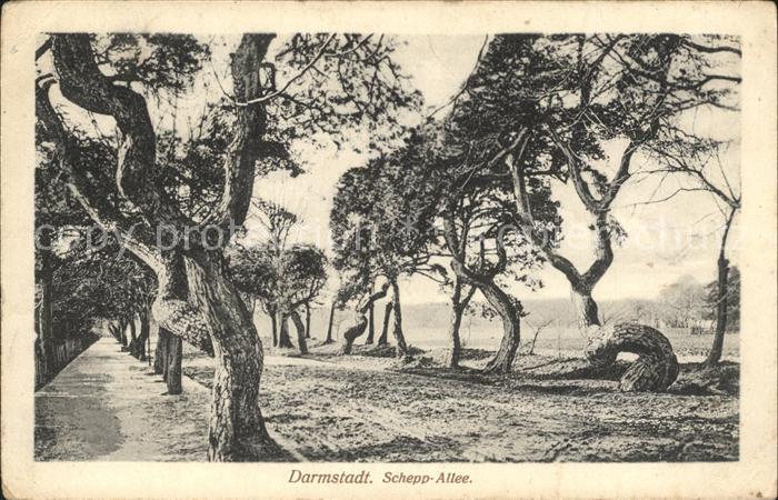 Darmstadt Schepp-Allee