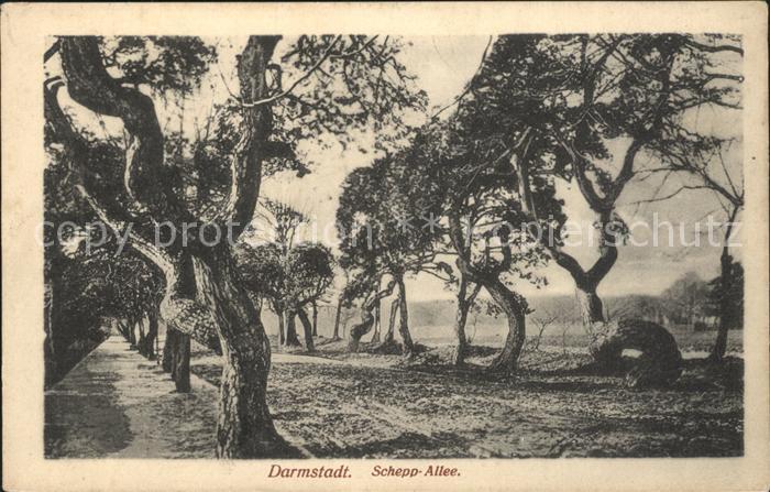 Darmstadt Schepp-Allee