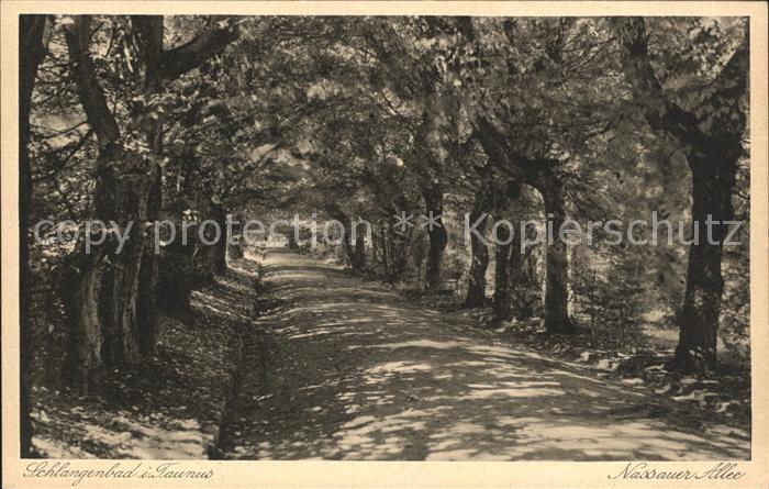 Schlangenbad Taunus Nassauer Allee