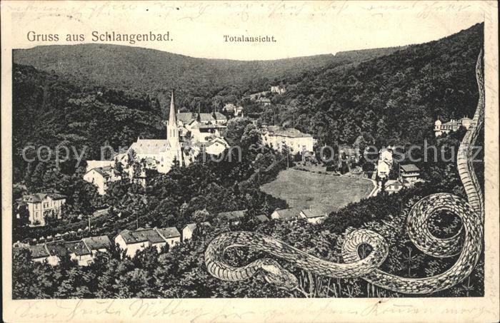 Schlangenbad Taunus Totalansicht