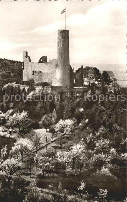 Weinheim Bergstrasse Burgruine Windeck