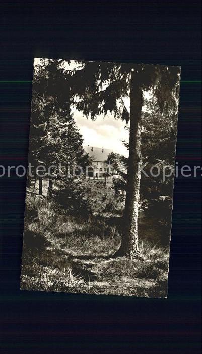 Waldmichelbach Gasthaus-Pension Zur schoenen Aussicht