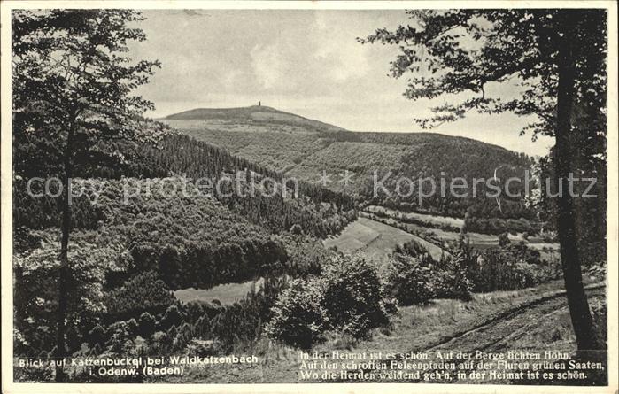 Waldkatzenbach Blickauf den Katzenbuckel