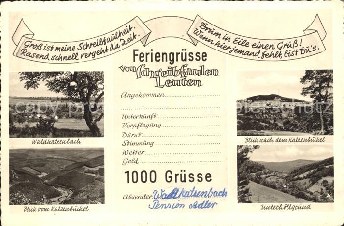 Waldkatzenbach Katzenbuckel Blick vom Katzenbuckel