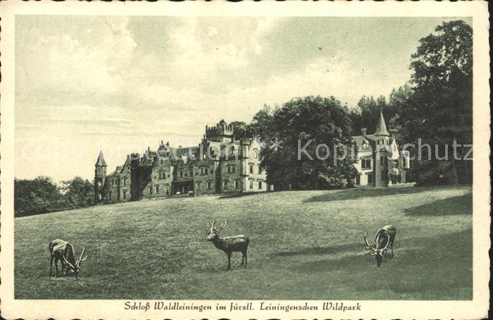 Ernsttal Baden Schloss Waldleiningen