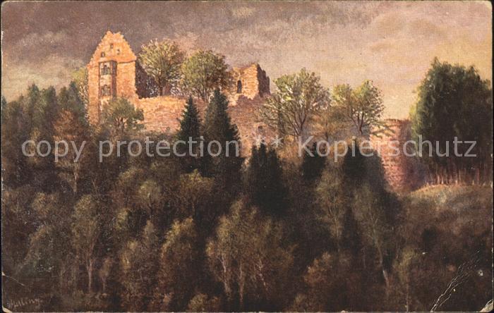 Neckargerach Die Minneburg