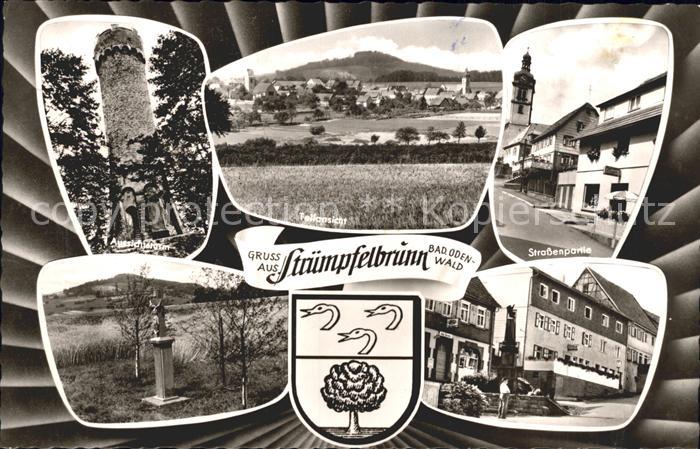 Struempfelbrunn Aussichtsturm Strassenpartie Teilansicht