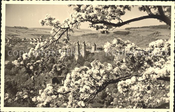 Bad Mergentheim Kirschbluete