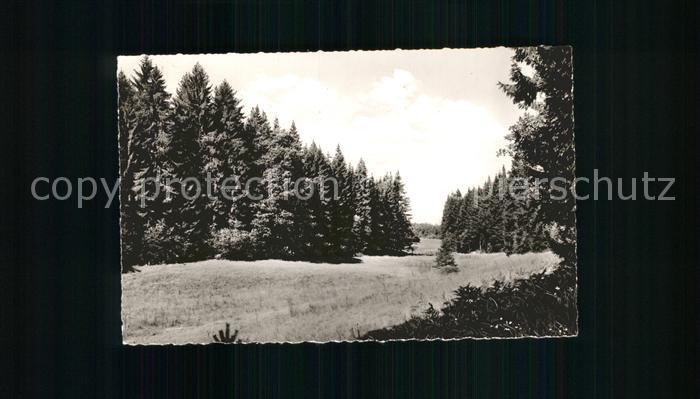 Grasellenbach Gassbachtal