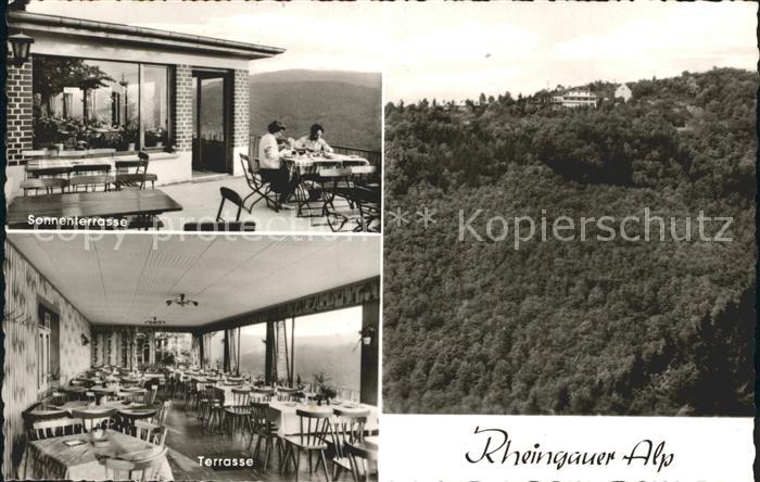 Presberg Rheingau Gaststaette Rheingauer Alp