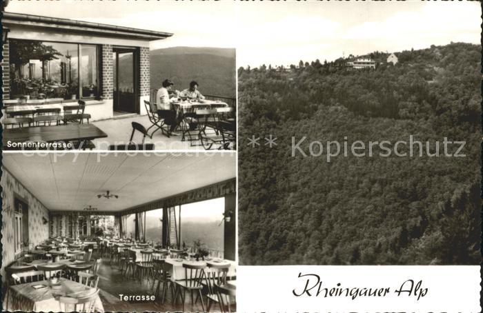 Presberg Rheingau Gaststaette Rheingauer Alp