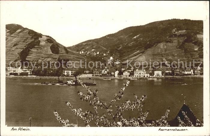 Ruedesheim Rhein Asmannshausen Rhein