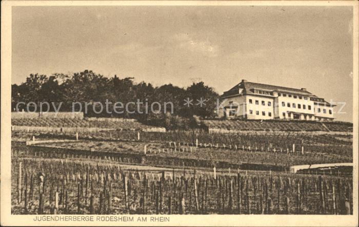 Ruedesheim Rhein Jugendherberge