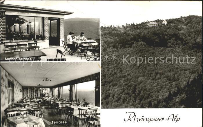 Presberg Rheingau Gaststaette Rheingauer Alb