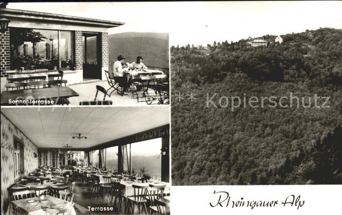 Presberg Rheingau Gaststaette Rheingauer Alp