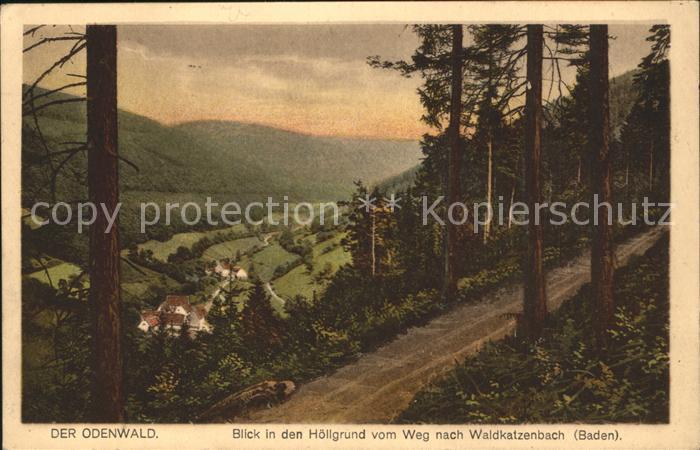 Waldkatzenbach Blick in den Hoellengrund