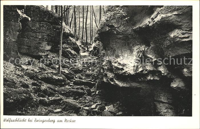 Zwingenberg Baden Neckar Wolfsschlucht