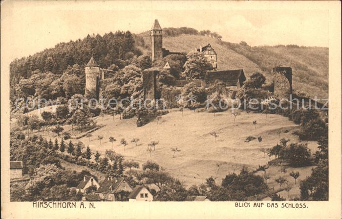 Hirschhorn Neckar Schloss