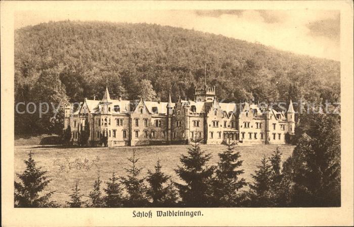 Mudau Schloss Waldleiningen