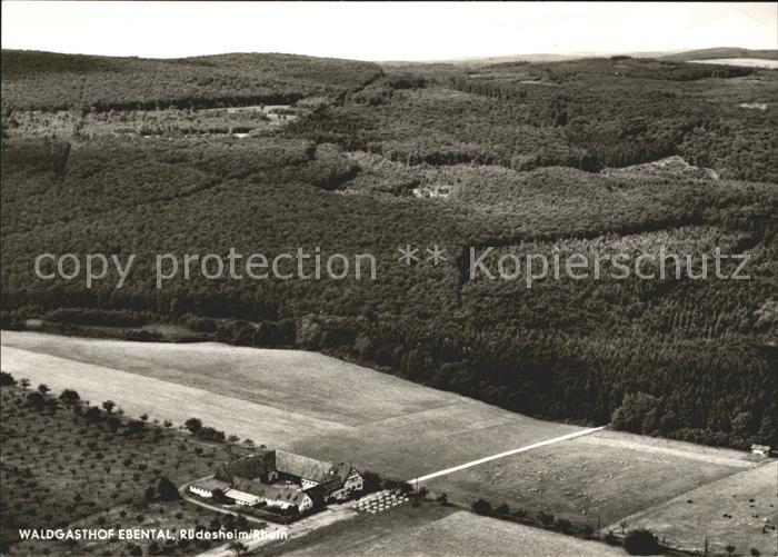 Ruedesheim Rhein Fliegeraufnahme Waldgasthof Ebental