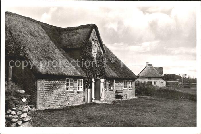SYLT Insel Schleswig-Holstein Friesenhaeuser