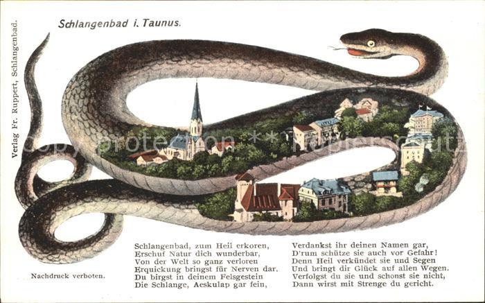 Schlangenbad Taunus Schlange