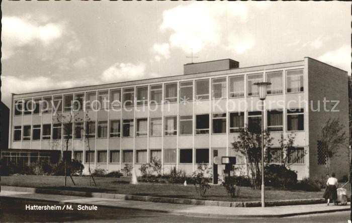 Hattersheim Main Schule