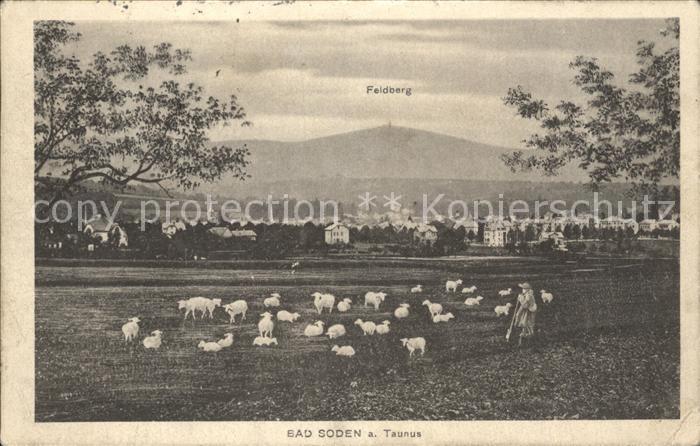 Bad Soden Taunus mit Feldberg