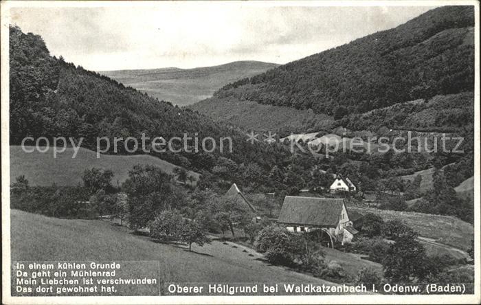 Waldkatzenbach Oberer Hoellgrund